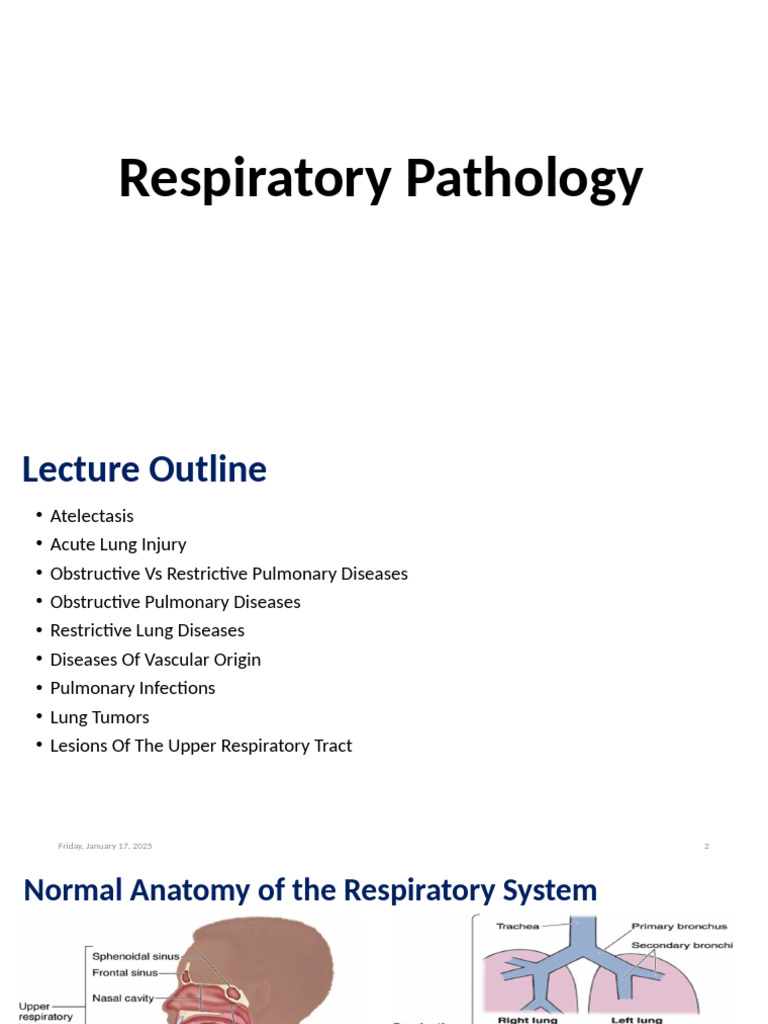 Respiratory Pathology Overview | PDF | Pneumonia | Respiratory Diseases