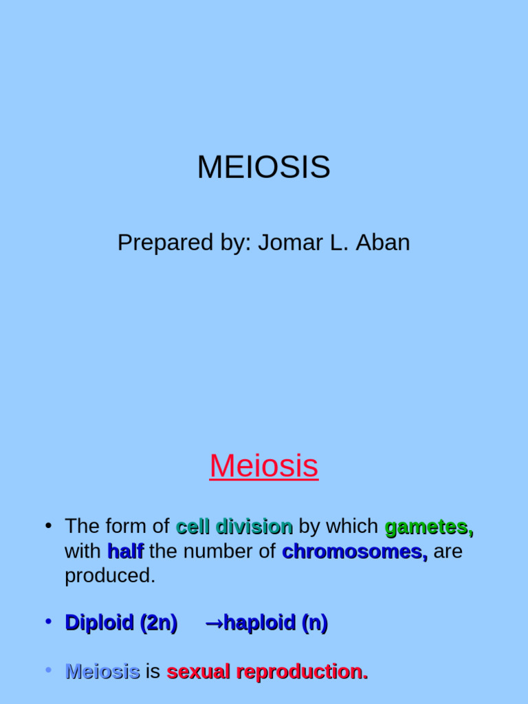 WHAT IS MEIOSIS SIMPLE ANSWER intelligence overview