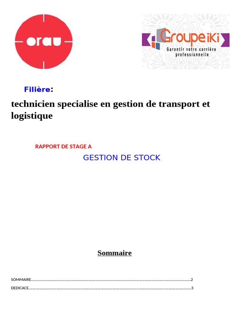 Rapport de Stage en Gestion de Stock | PDF | Inventaire | Application