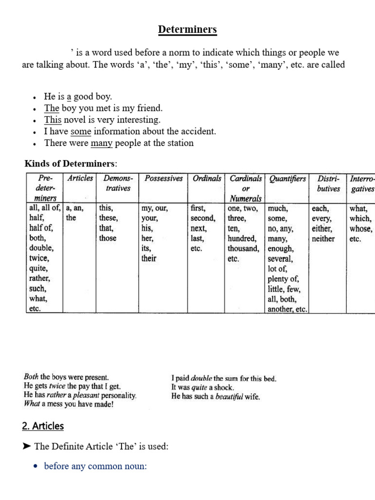 Class 10 Notes on Determiners | PDF | Noun | Grammar