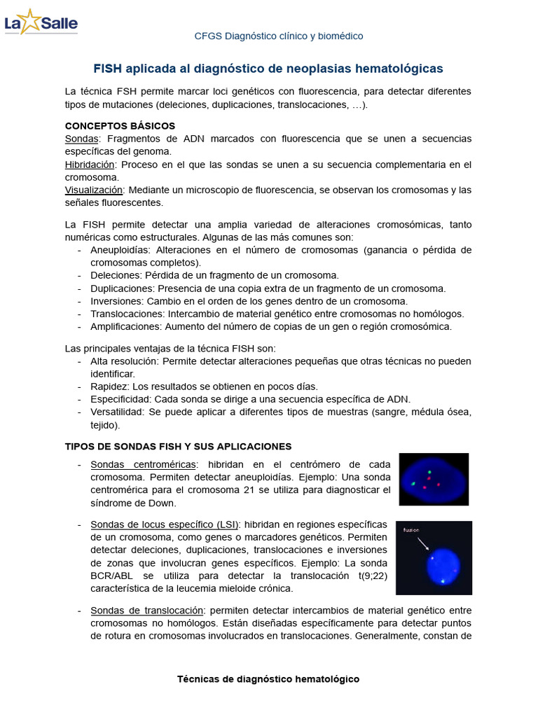 FISH en diagnóstico de neoplasias hematológicas | PDF | Hibridación in ...