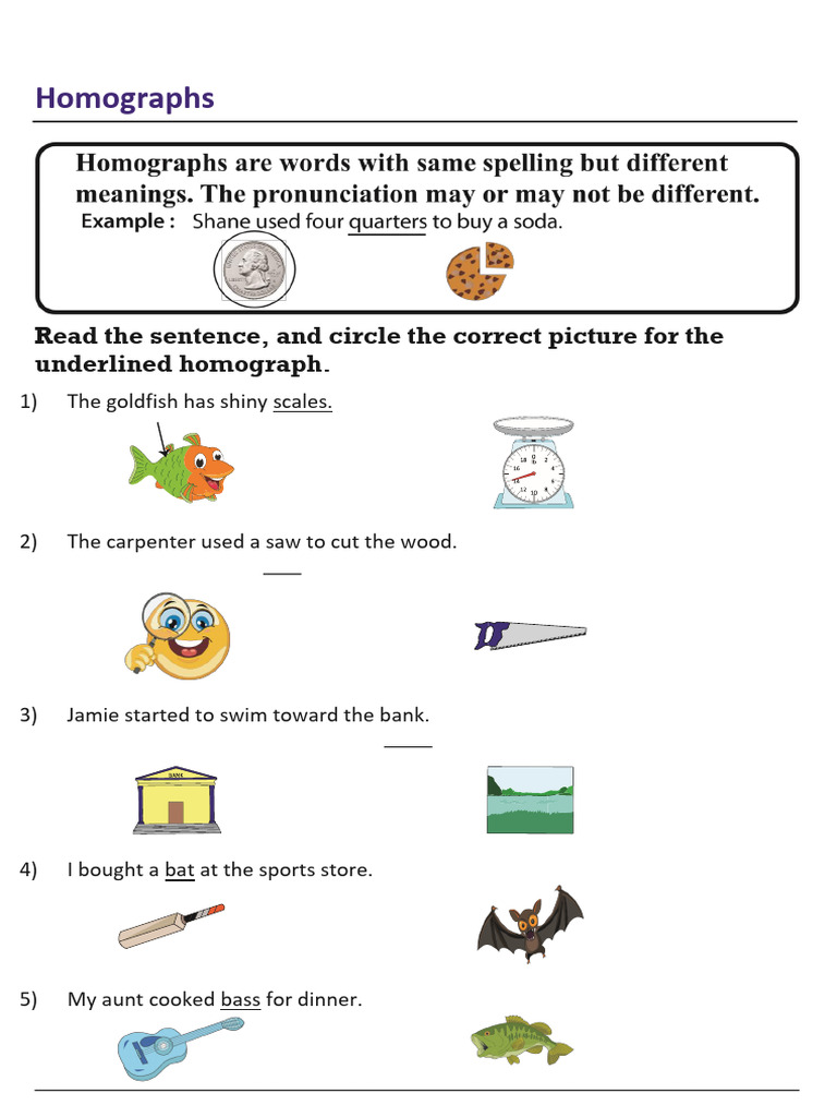 Homographs (Recovered) | PDF