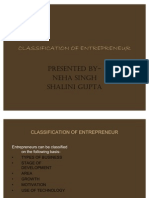 Classification of Entrepreneur