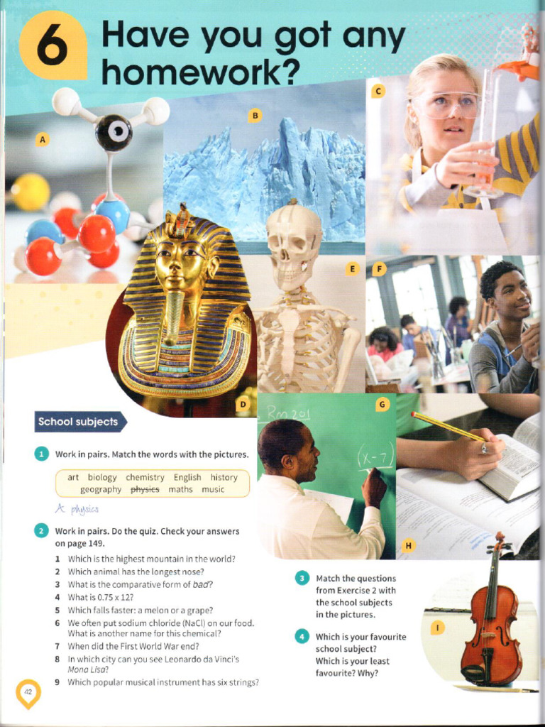 Unit 6 - Have You Got Any Homework | PDF