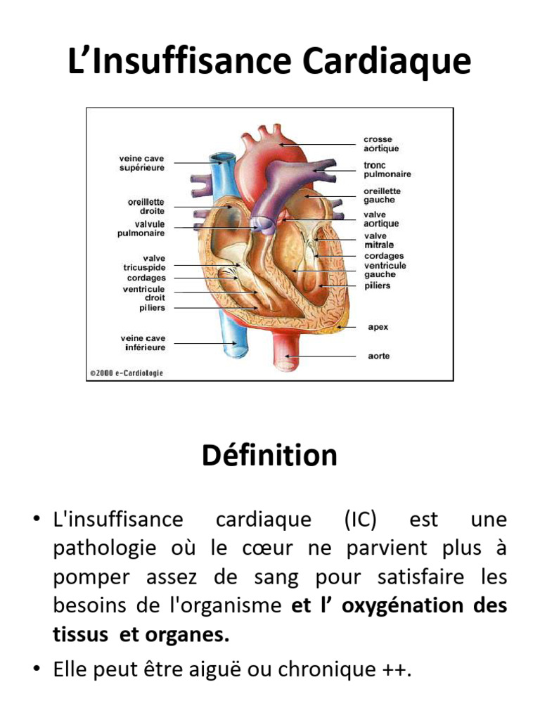 Comprendre l'insuffisance cardiaque | PDF