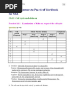Download SBA2_ans_e1 by Chan Sin Yee SN81695967 doc pdf