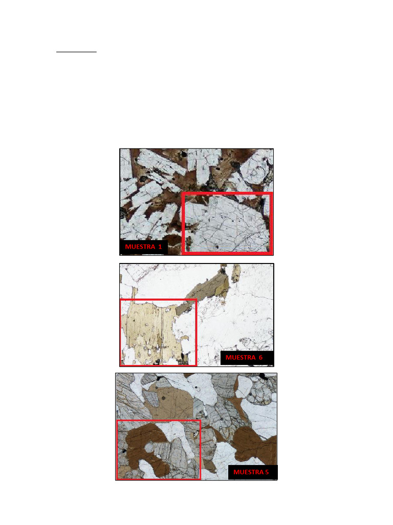 TP7 Corregido | PDF | Color