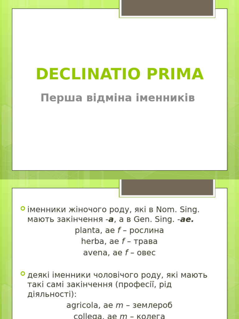 4 - Declinatio I СПГ | PDF