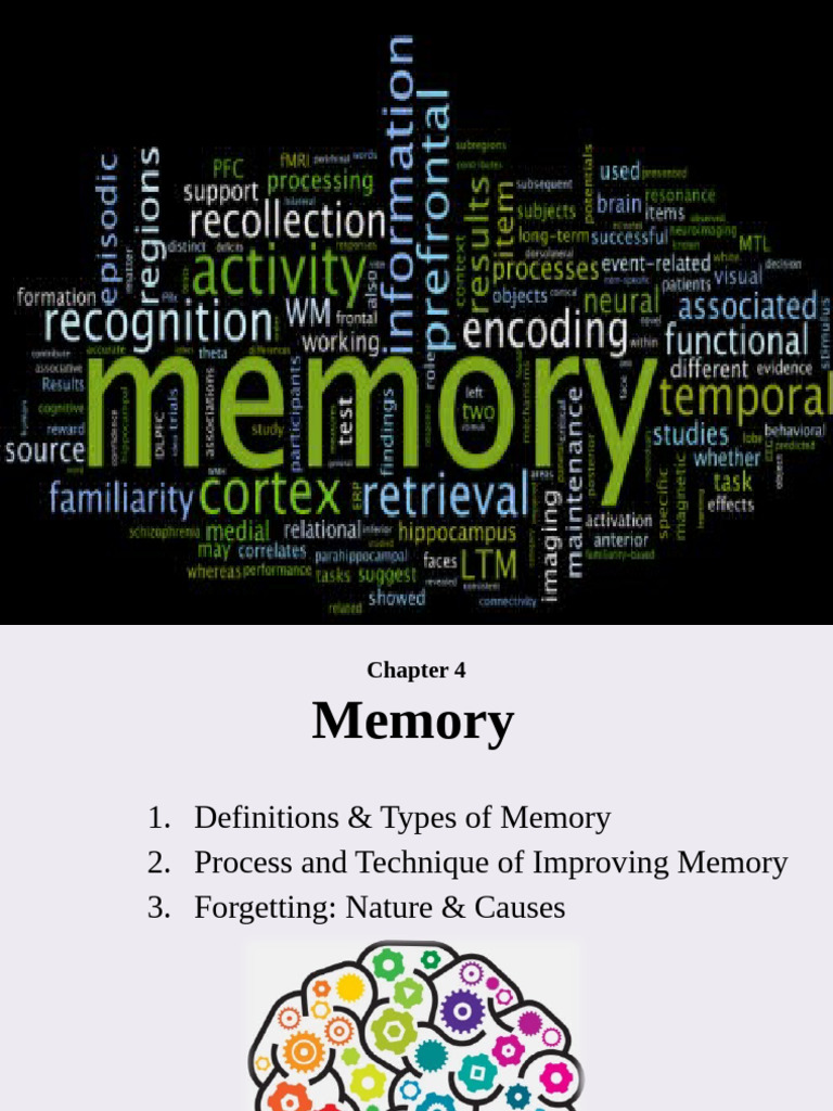 Understanding Memory Types and Processes | PDF | Memory | Long Term Memory