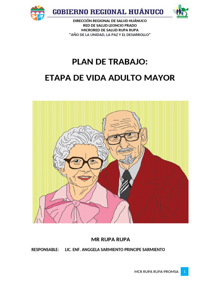 Plan de Salud Integral para Adultos Mayores | PDF | Educación en artes ...