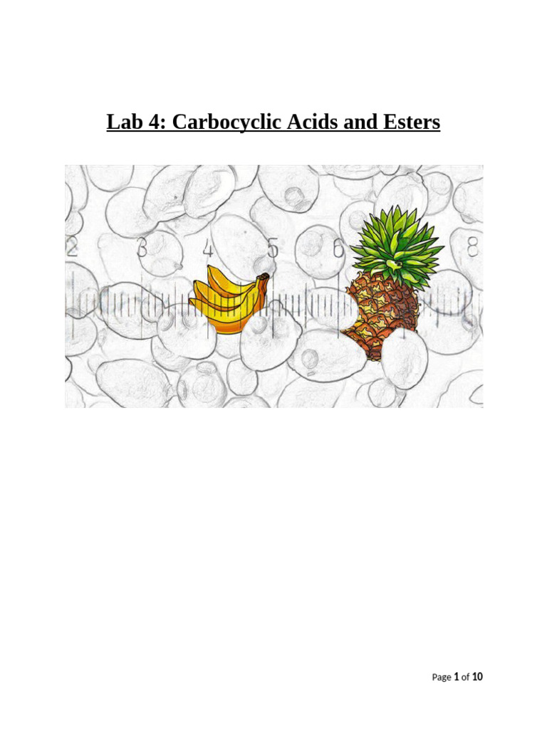 Carbocylicx Acids and Esters Lab | PDF | Ester | Acid