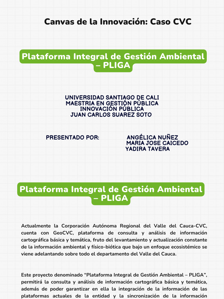 Canvas de la Innovación Caso CVC | PDF | Sistema de información ...