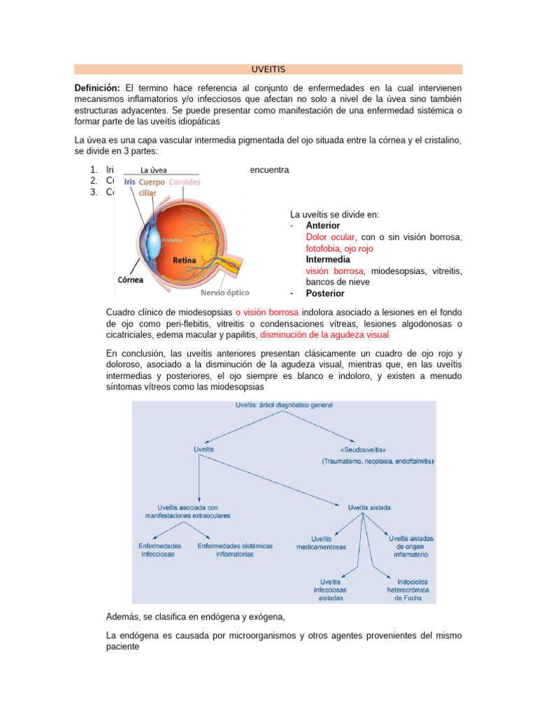 Guía Completa sobre Uveítis | PDF | Ojo humano | Percepción visual