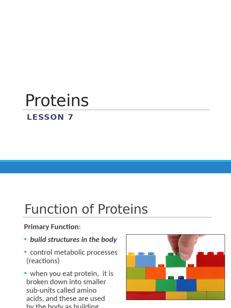 Overview of Protein Functions and Types | PDF | Proteins | Peptide