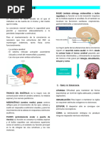 Valoración del Estado de Conciencia | PDF | Conciencia | Enfermedades y ...