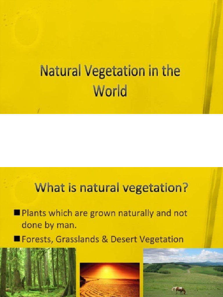 Vegetation | PDF