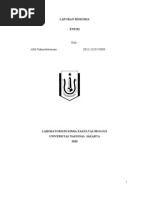 Download Enzim by auroradanista SN81710418 doc pdf