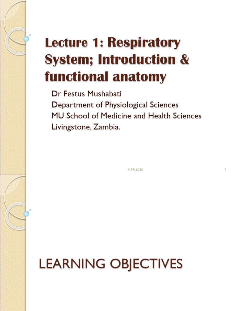 Respiratory System Physiology Overview | PDF | Respiratory Tract | Lung