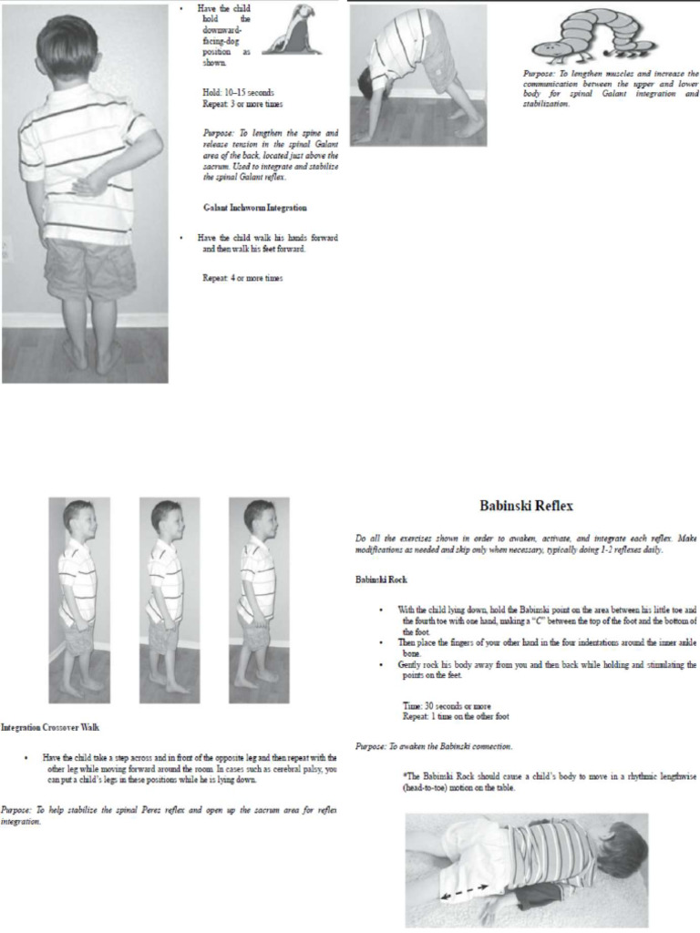 Reflex | PDF