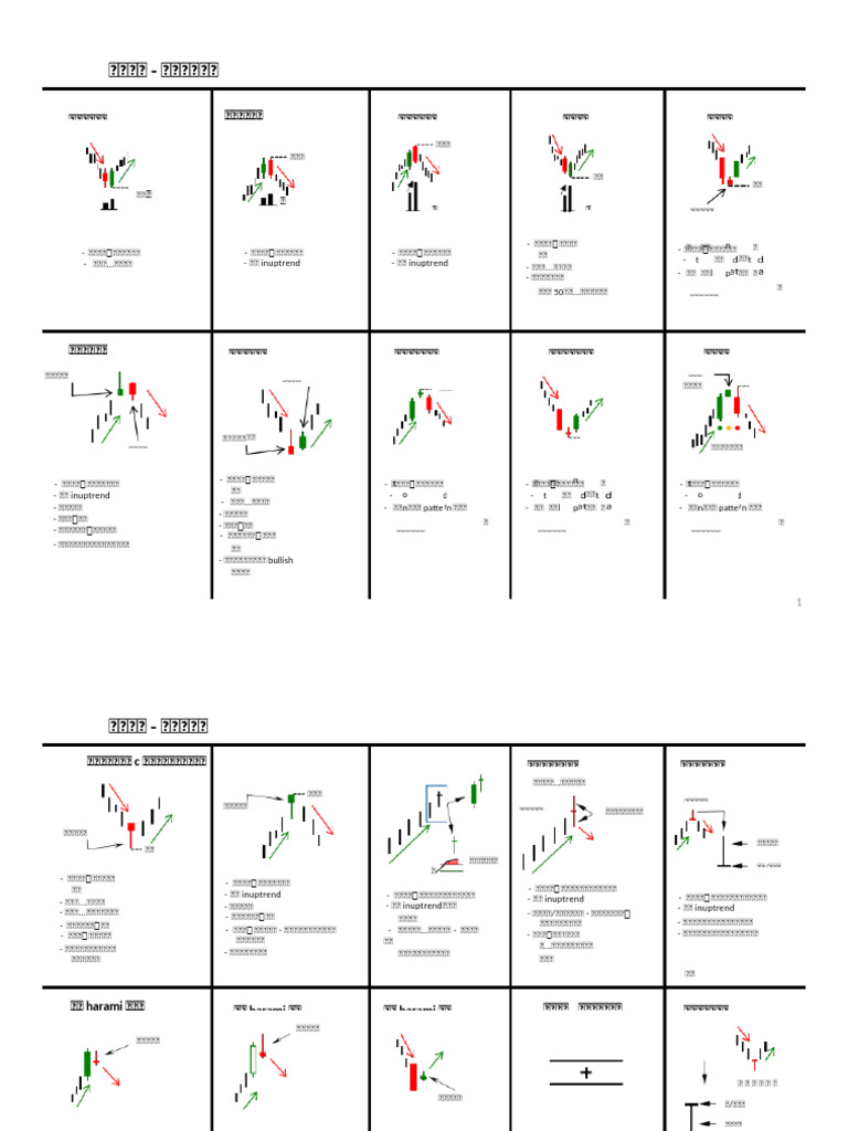 DOC 20241219 WA0000. (1) - 已翻译| PDF