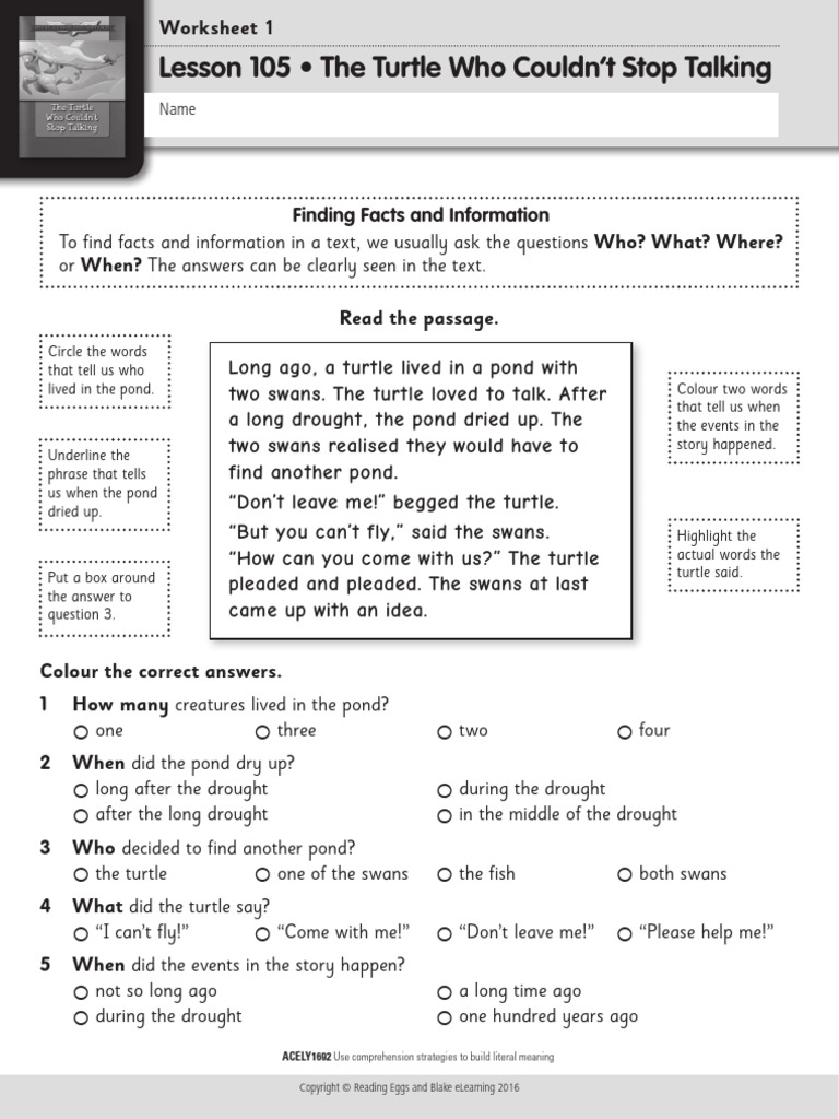 Year 4 Reading Comprehension Express 05 | PDF