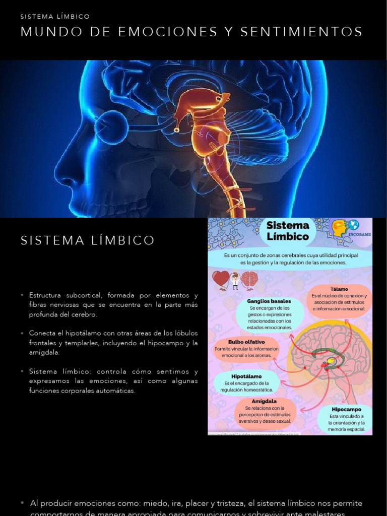 Emociones y Sentimientos | PDF | Las emociones | Sistema límbico
