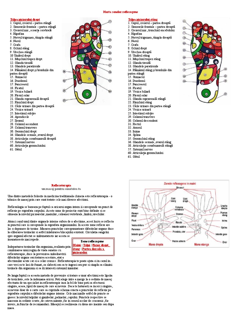 Harta Zonelor Reflexogene
