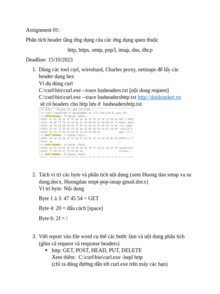 03-Assignment 03 | PDF