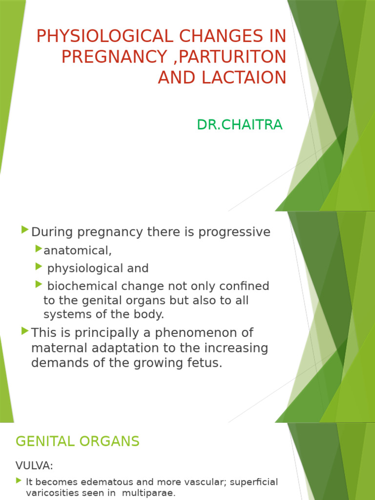 Physiological Changes | PDF | Vagina | Menstrual Cycle