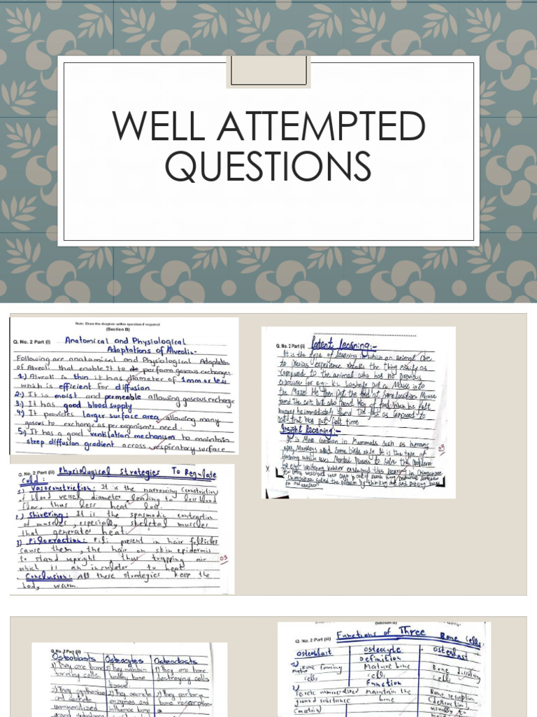 Well Attempted Questions-1 | PDF