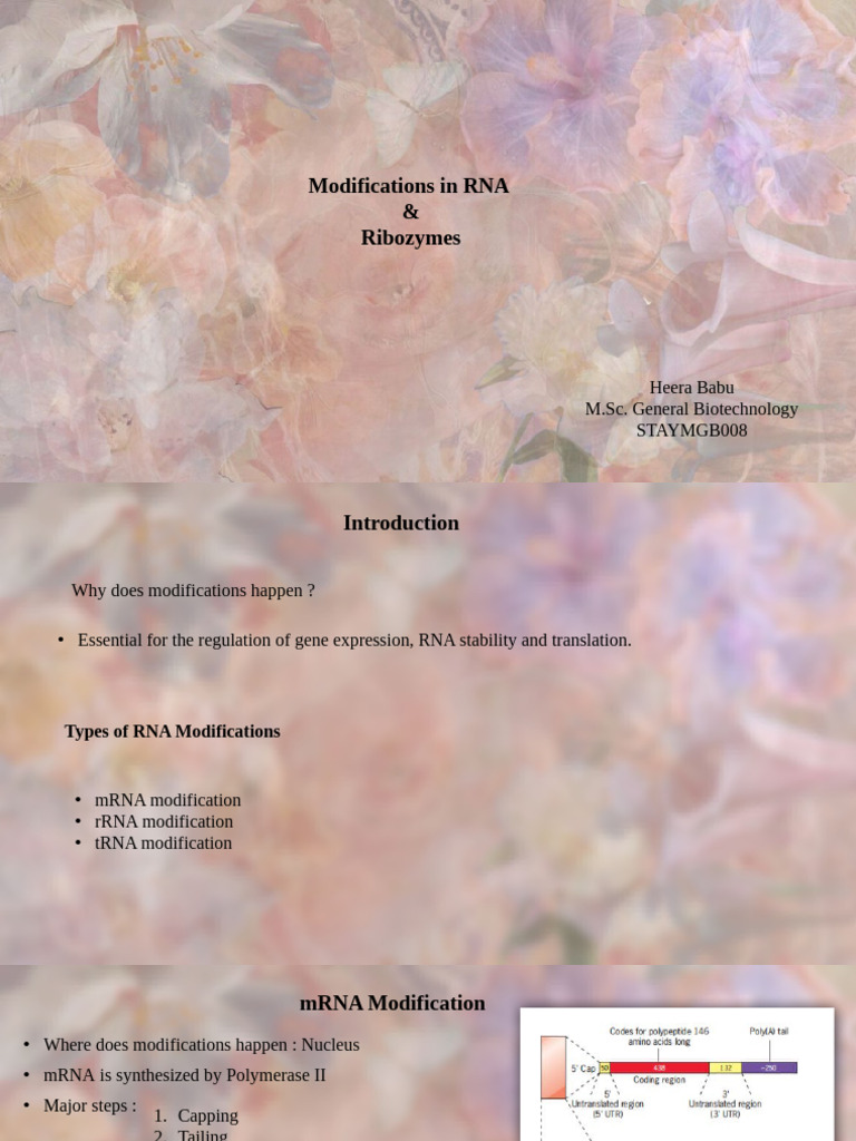RNA modifications | PDF | Rna | Messenger Rna
