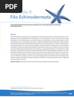 Download 9Echinodermata by CRenato_Ventura SN81718910 doc pdf