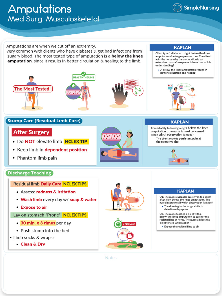 Below-Knee Amputation Care Guide | PDF | Amputation | Medical Specialties