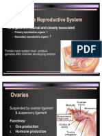 Female Repro System Must Produce Gametes AND Maintain Developing Embryo