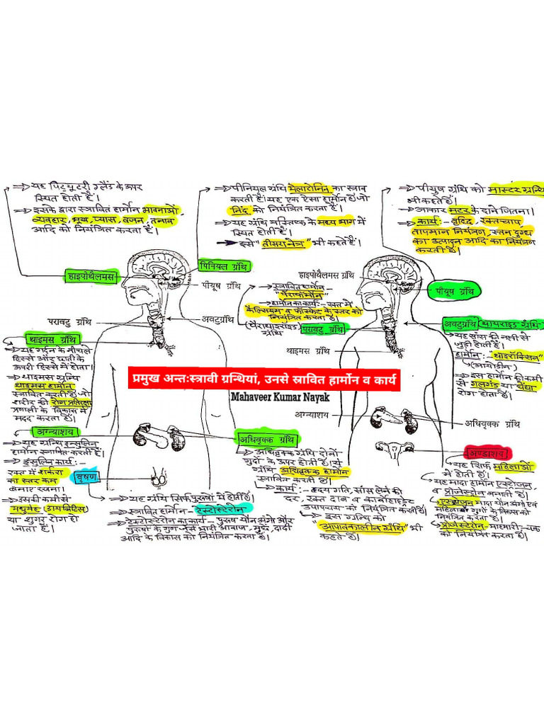 Endocrine Glands 10th New | PDF