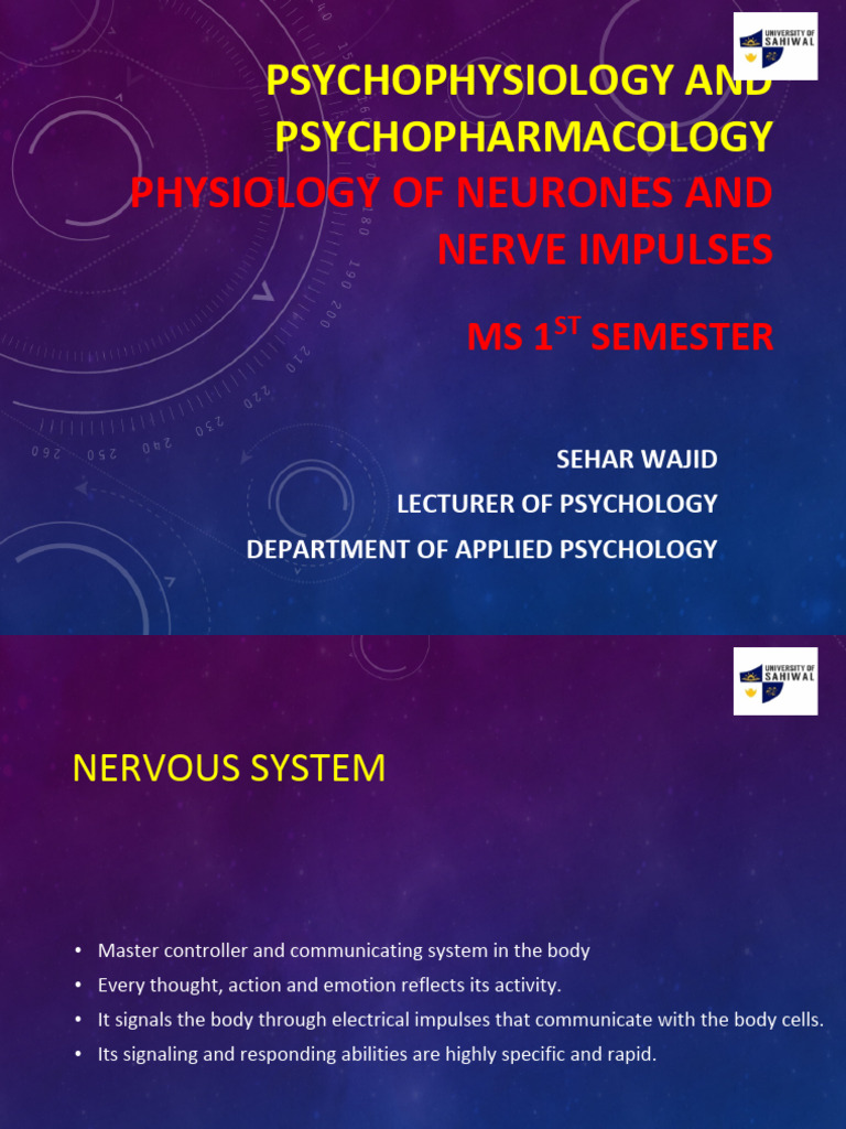 Nervous System Physiology Overview | PDF | Neuron | Axon