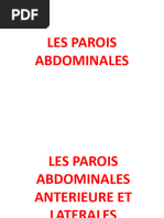 Anatomie de La Paroi Abdominale | PDF | Péritoine | Abdomen