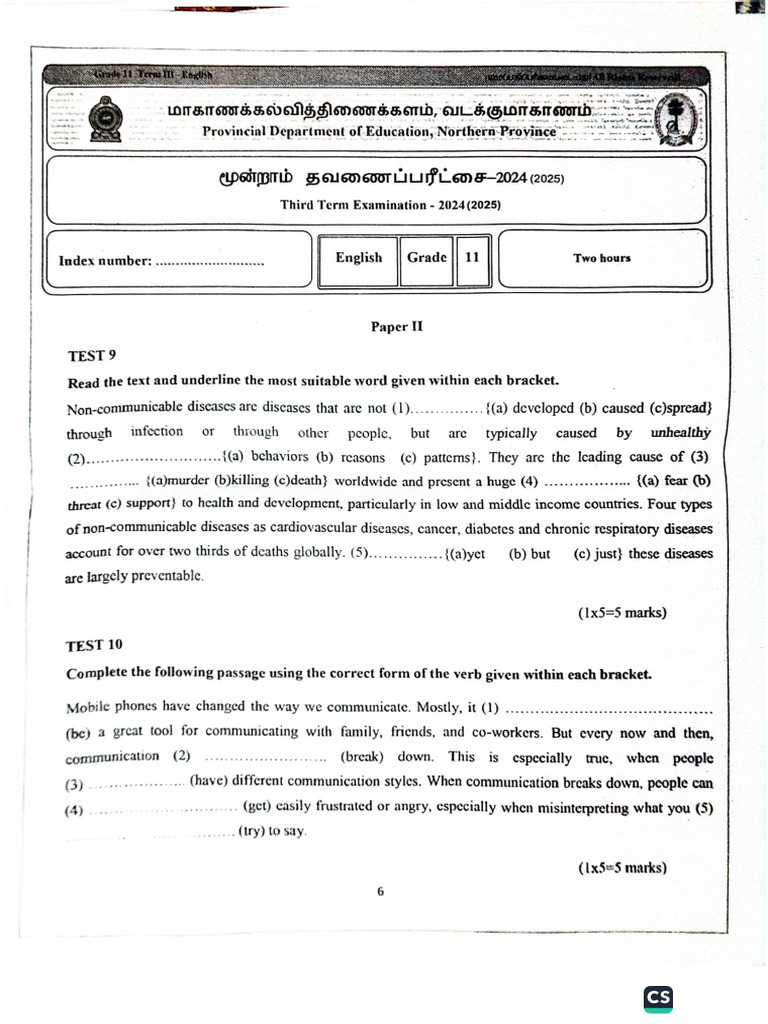 English - Grade 11 - Third Term Test 2024 - Northern Province | PDF