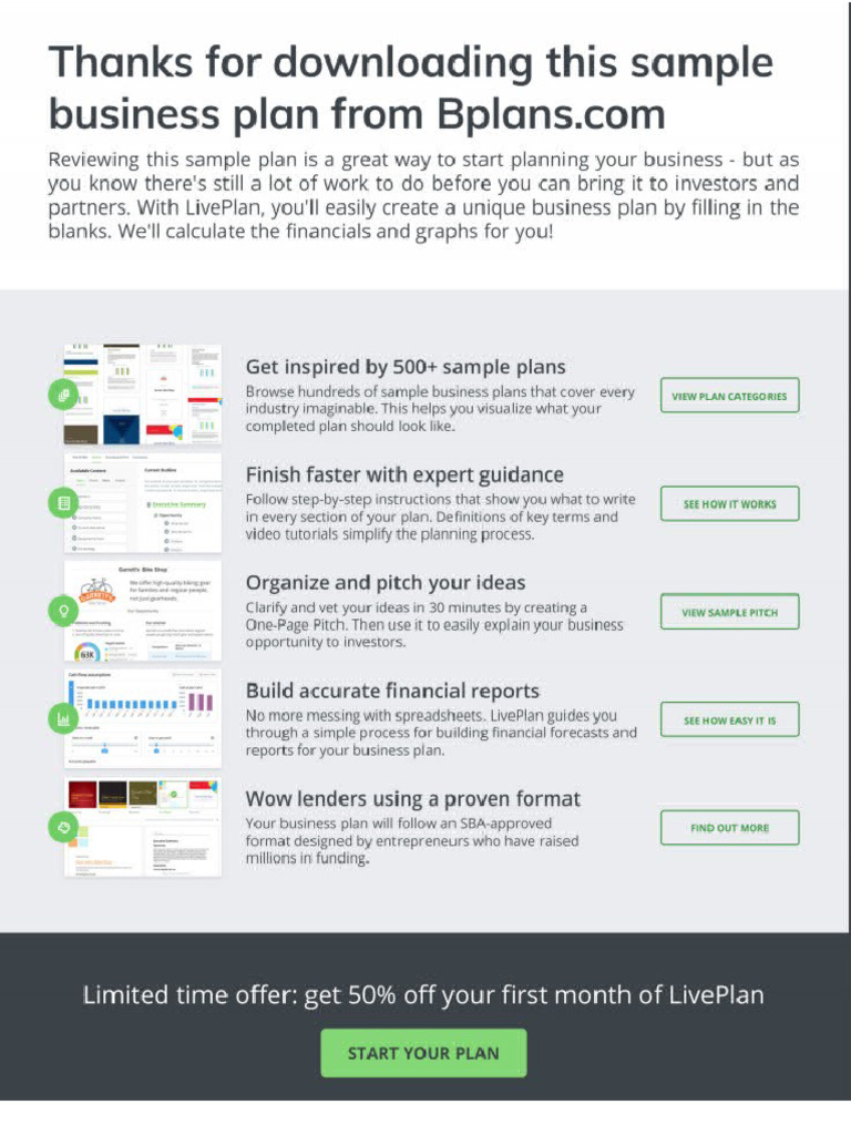 Information Technology Business Plan | PDF | Market Segmentation ...