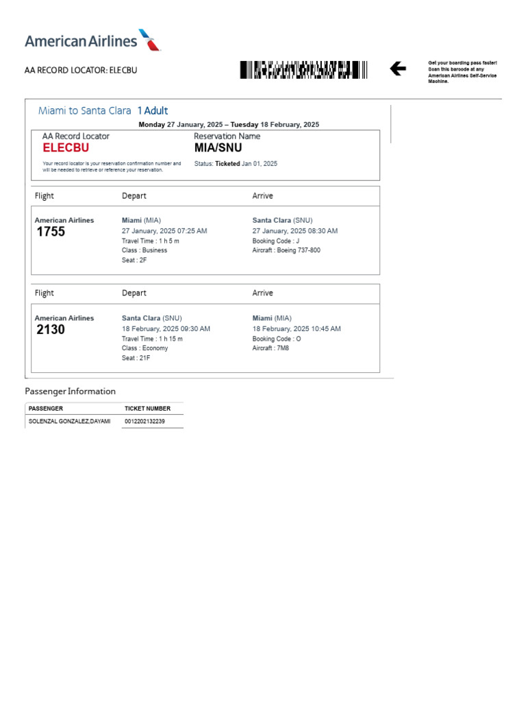 American Airlines | PDF