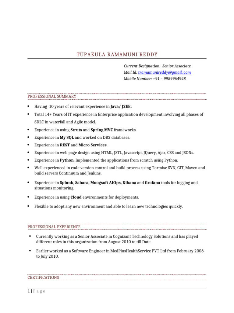 Random Resume | PDF | Ibm Db2 | World Wide Web