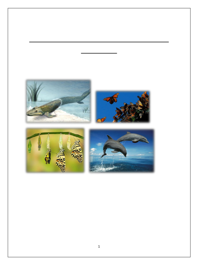 Study On Different Adaptations in Living Organisms | PDF | Adaptation ...