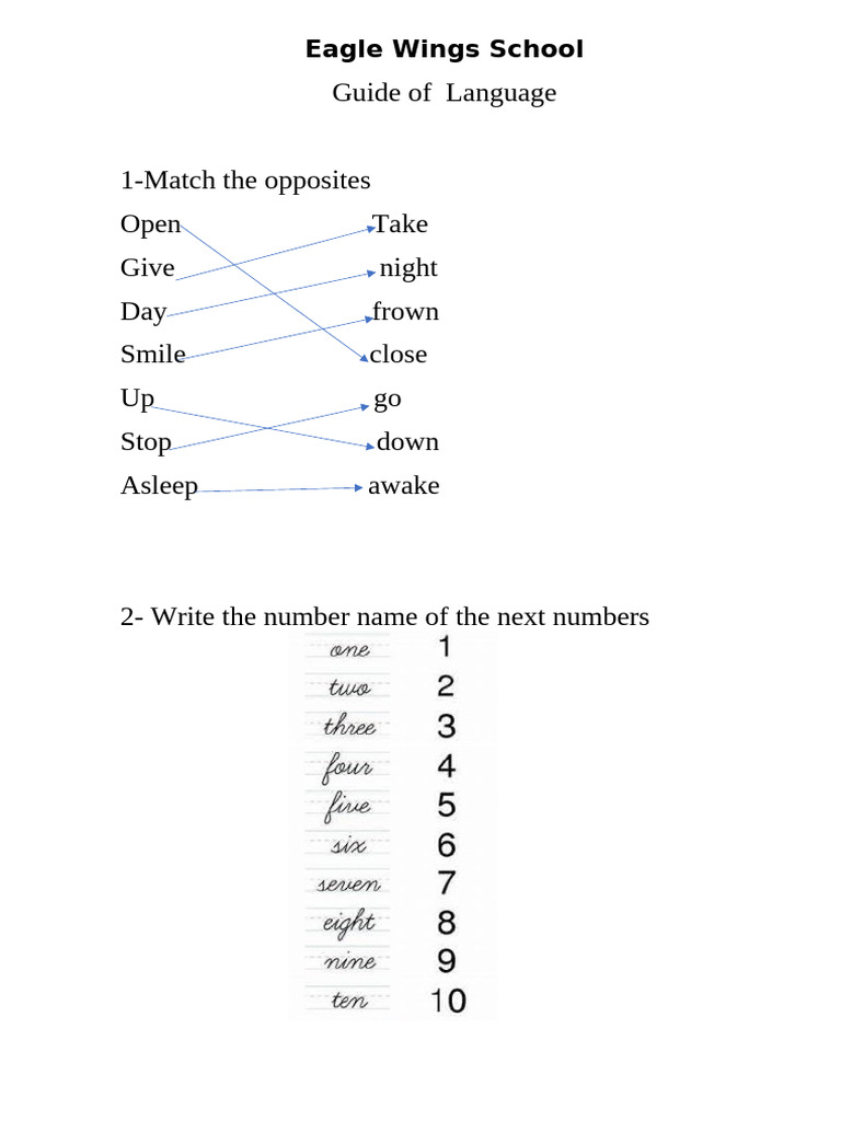 STUDY GUIDES 1rst Grade | PDF