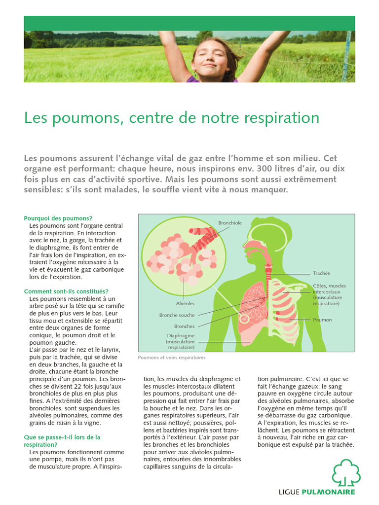 Anatomie et maladies des poumons | PDF | Poumon | Système respiratoire
