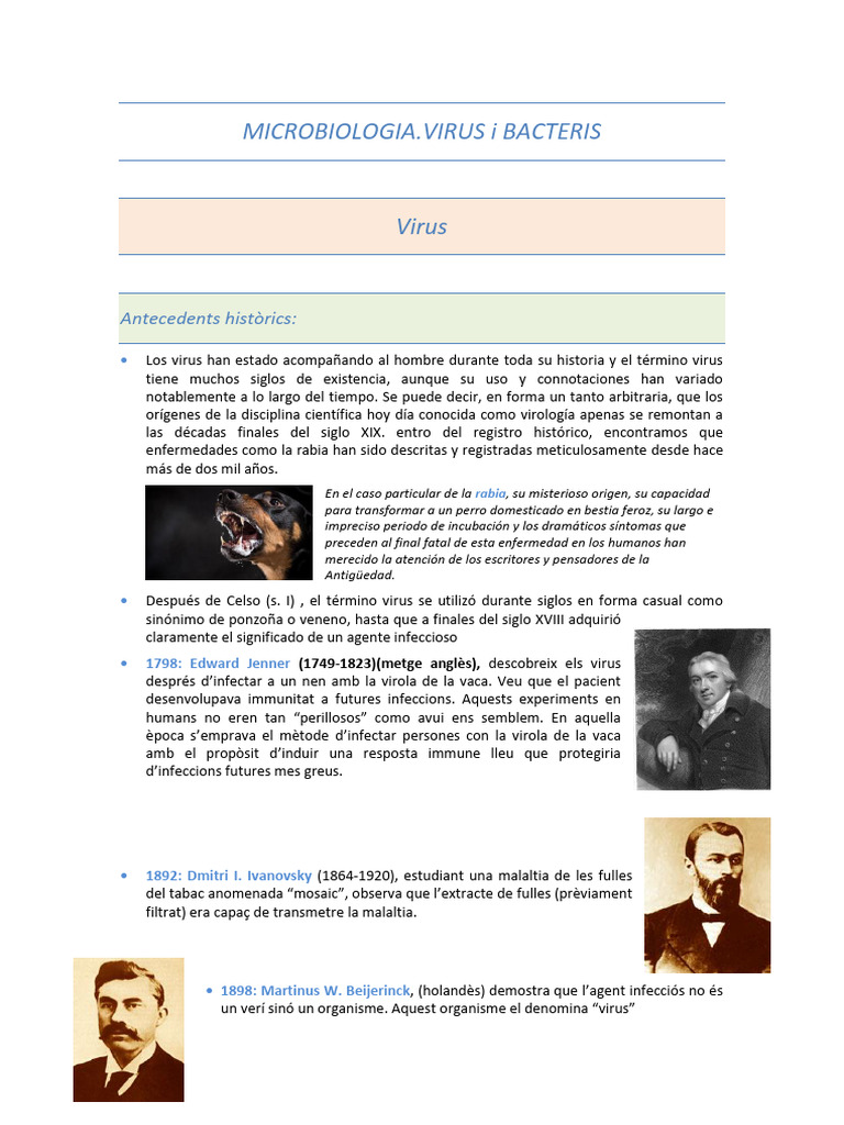 Tema - 17 - Microbiologia - Virus - I - Bacteris (4) JJ | PDF