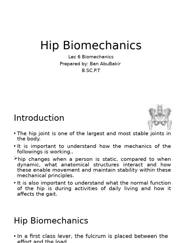 Hip Biomechanics Lecture | PDF | Hip | Anatomical Terms Of Motion