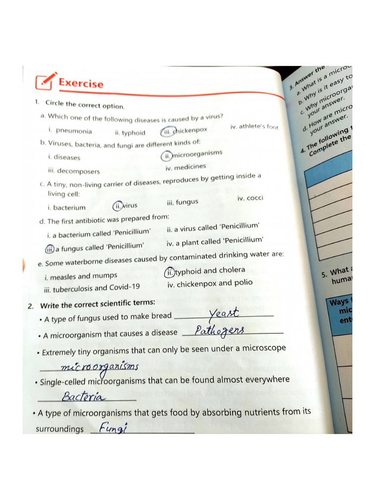 Science Unit 2 | PDF