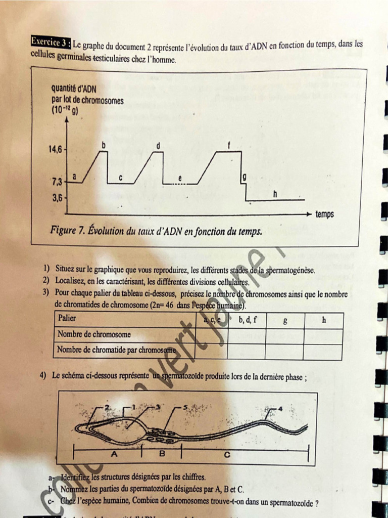 Déc. 8, Doc 2 | PDF