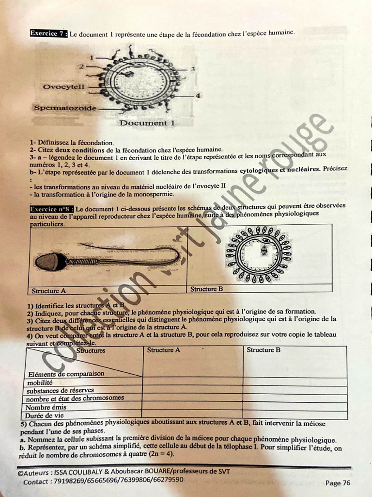 Déc. 8, Doc 3 | PDF