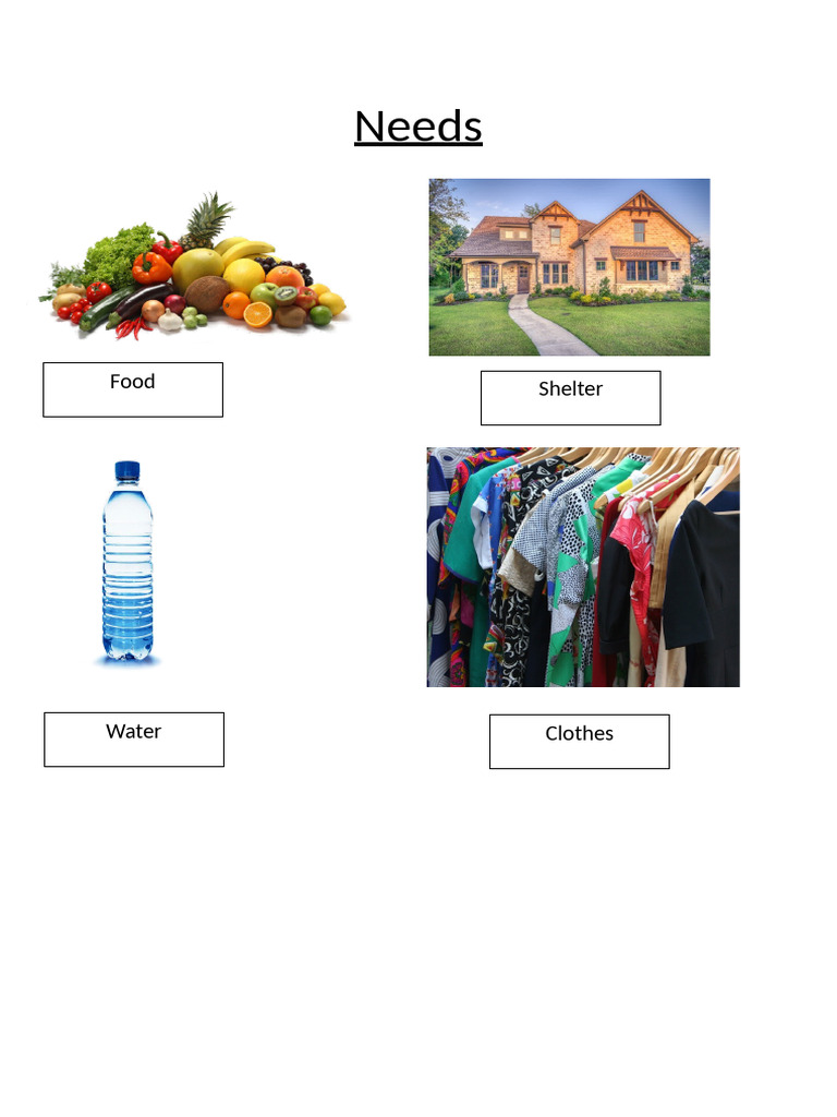 Needs | PDF